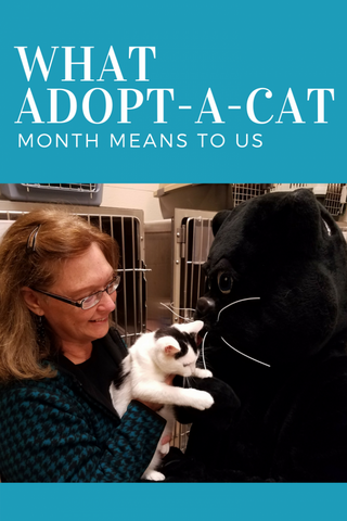 What Adopt-A-Cat Month Means To Us