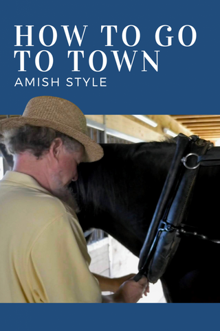 How To Go To Town - Amish Style