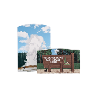 Yellowstone National Park + Grand Teton