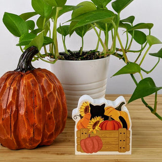 Casper Mascot & Specialty Items