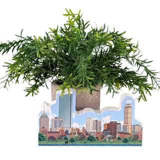 plant with 3/4" thick wooden replica souvenir of the Boston Skyline