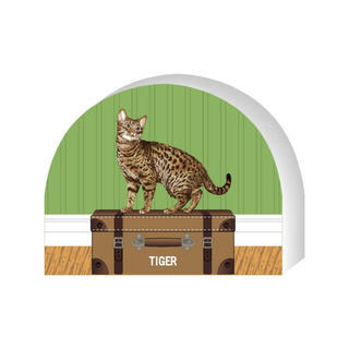 Wooden replica of a  Cat on a suitcase with 'Tiger' label against a green wall