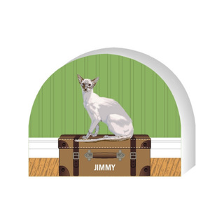 Wooden replica of a Cat named Jimmy sitting on a suitcase with a green wall and wooden floor in the background