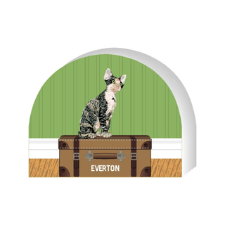 Wooden replica of a Cat on a suitcase with 'Everton' branding against a green wall.