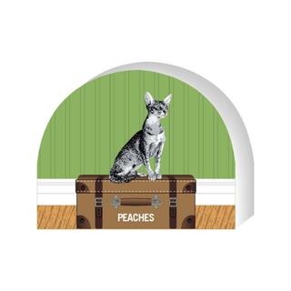 Wooden replica of a  Cat sitting on a suitcase with 'Peaches' labeled, against a green wall.
