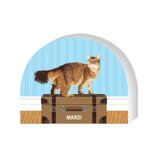 Wooden replica of a  Cat standing on a suitcase with 'MARDI' branding against a blue background