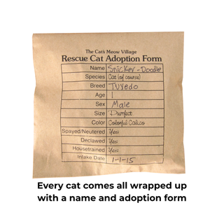 Casper Mascot - Rescue Cat 3.5" -Supporting The Humane Society