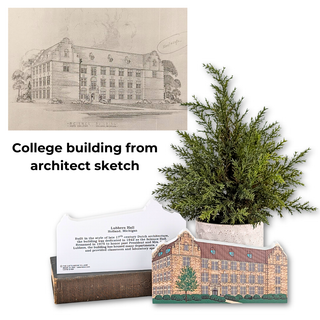 Model of a college building with an architect's sketch and a potted plant.