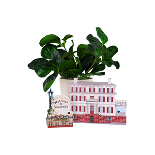 Potted plant with a decorative sign featuring a house and 'Welcome to Savannah' text on a white background.