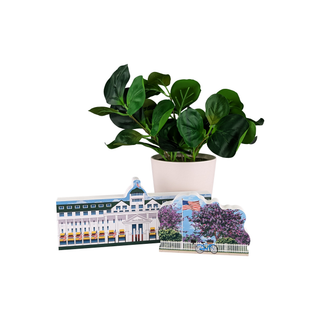 2 wooden replicas on a white background with a plant in a white pot 