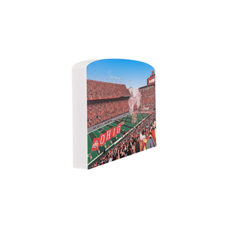 3/4" thick wooden replica with an illustration with a Stadium with 'OHIO' on the field, likely representing Ohio State University, on a white background.