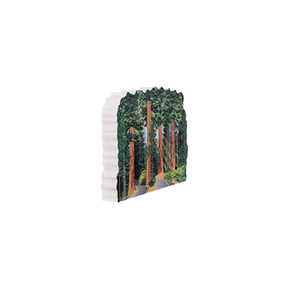 3/4" wooden replica with an illustration of a old forest with roads going through it