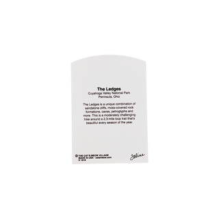 3/4" thick wooden back model with text on a white background