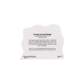 3/4" thick wooden back model with text on a white background
