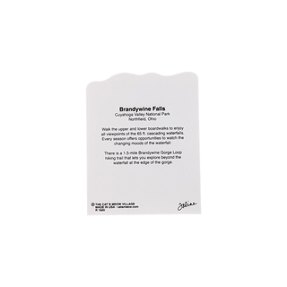 3/4" thick wooden back model with text on a white background