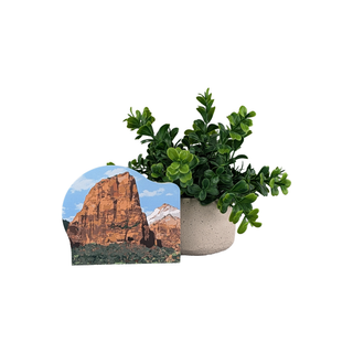 Potted plant with a scenic wooden replica featuring a mountain landscape on a white background