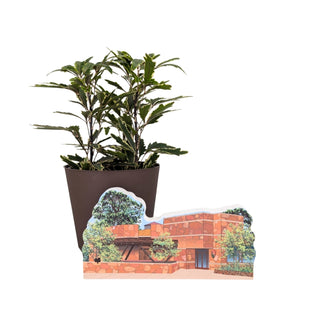 Potted plant with a scenic cutout of a building and trees on a white background