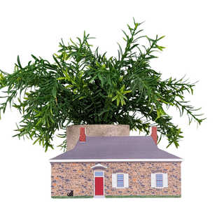 A decorative miniature stone house model with a gray roof, red door, and green artificial foliage growing from the top, isolated on a white background.