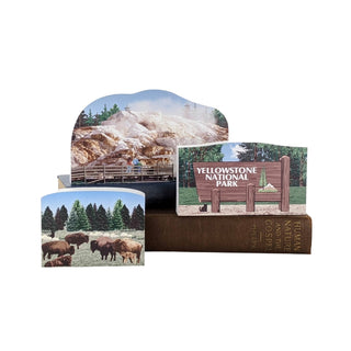 Set of Yellowstone National Park-themed products 