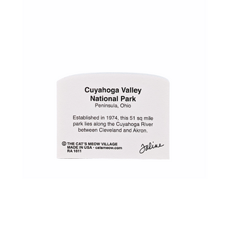 3/4" thick wooden back model with text on a white background