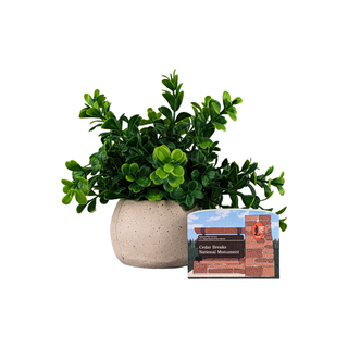 Potted plant with a card featuring Cedar Breaks National Monument on a white background