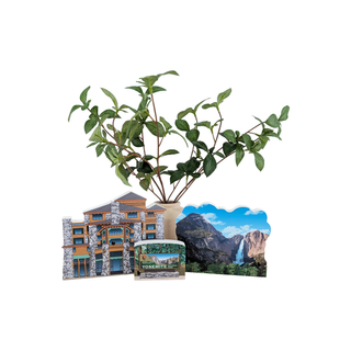 Decorative plant pot with Yosemite-themed cutouts on a white background