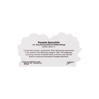 3/4" thick wooden back model with text on a white background