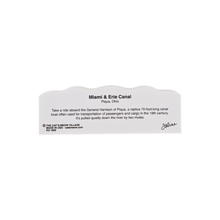 3/4" thick wooden back model with text on a white background