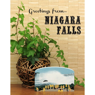 3/4" thick wooden cutout of Niagara Falls image and decorative plant on wooden surface