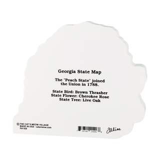 3/4" thick wooden  model with black text about Georgia state facts on a white background