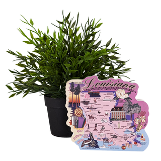 Decorative 3/4" thick wooden map of Louisiana with illustrations next to a potted plant on a white background