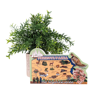 3/4" thick wooden Pennsylvania-shaped figurine with decorative plant on a white background