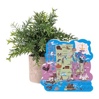 Colorful 3/4" thick wooden Rhode Island map with a potted plant on a white background