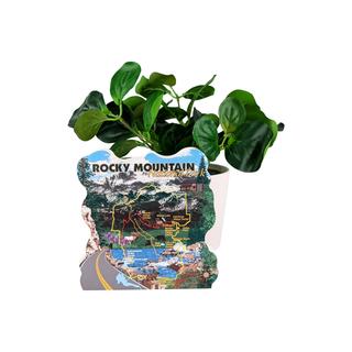 Potted plant with a Rocky Mountain National Park map design on the pot