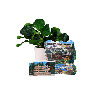 Potted plant with Rocky Mountain National Park-themed decor on a white background