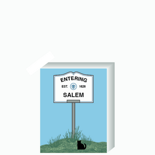 Wooden 3/4" Replica with a sign reading 'Entering Salem' on a blue background