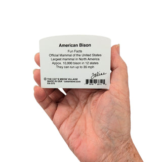 Hand holding wooden replica product with American Bison information on a white background