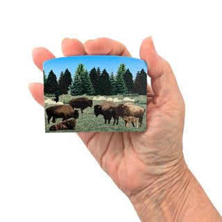 Hand holding a 3/4" wooden replica with an illustration of a  nature scene of bison and trees.